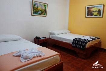 El Pinzon3