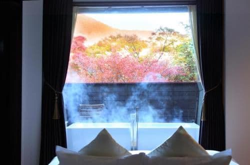 Luxury Suite with Open-Air Spa Bath