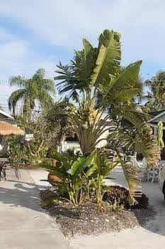 Sunset Beach Cottages