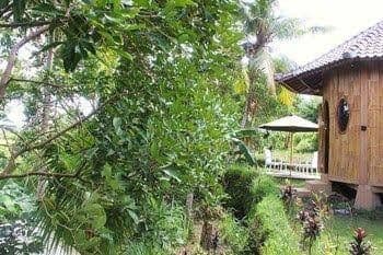 Shriman Yoga Bungalows Shriman Yoga Bungalows