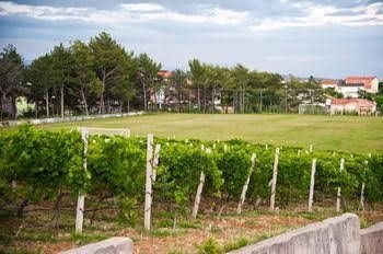 Bungalows Sport Centar3