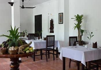 Antique Palm Hotel Antique Palm Hotel