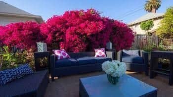 Van Ness by Stay City Rentals Van Ness by Stay City Rentals