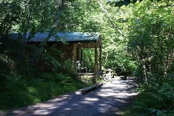 Alaska Creekside Cabins1