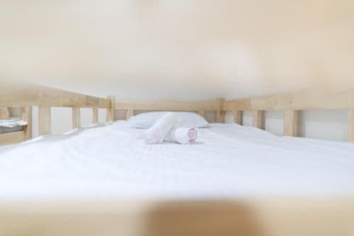 Single Bed in 4-Bed Dormitory Room