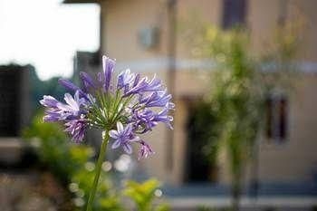 Residenza Borgo Italico2