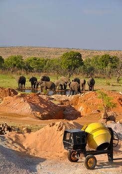 Mhondoro Game Lodge1