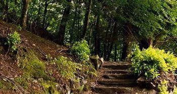 YHA Grasmere Butharlyp Howe - Hostel4