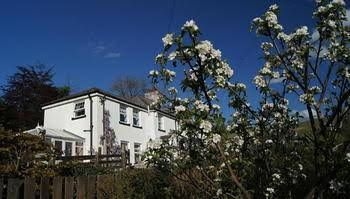 Arfryn House Bed and Breakfast0