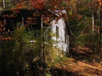 My Little Blue House3