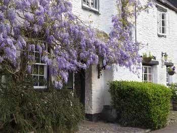 Old Church House Inn Old Church House Inn