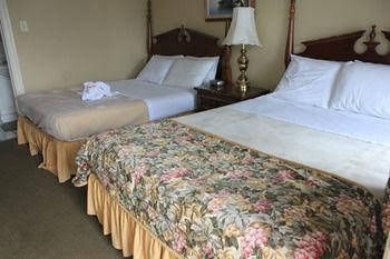 E-Lodge Near The Falls1