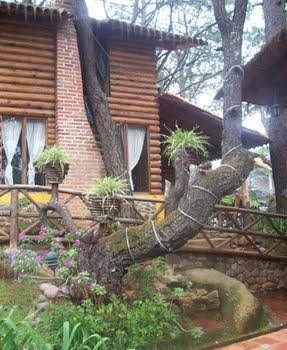 Cabanas El Pinito0