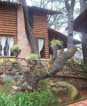 Cabanas El Pinito Cabanas El Pinito