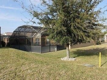 Orange Tree by Homes of America4