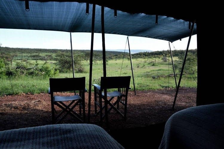 Wilderness Camp0