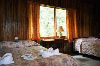 Hotel El Bosque4