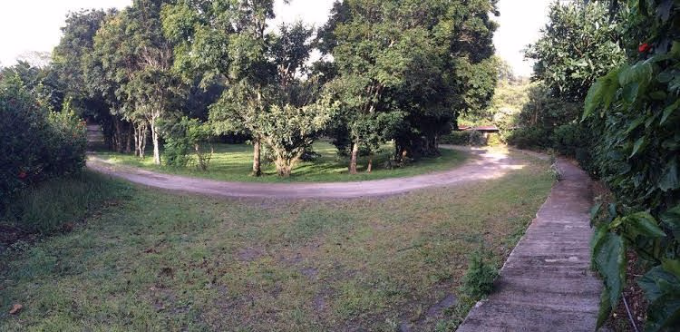 Hotel El Bosque0