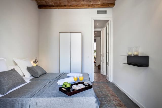 APARTMENT WITH TERRACE