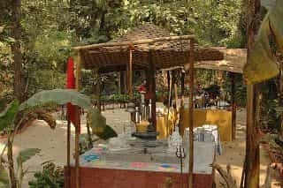 Kanha Jungle Lodge