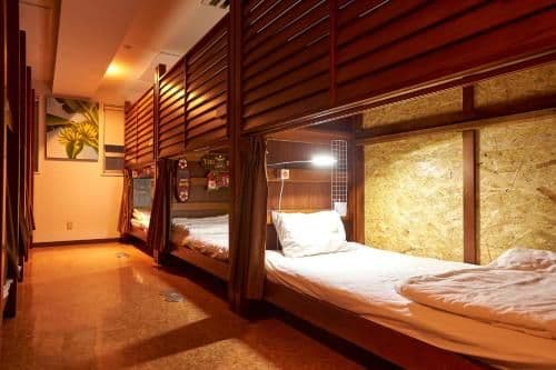 Single Bed in Female Dormitory Room