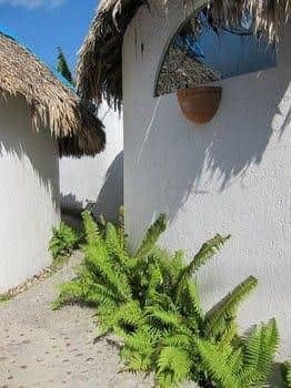 Amaranto Bungalows & Suites Amaranto Bungalows & Suites