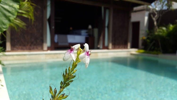 Sri Abi Ratu Villa4