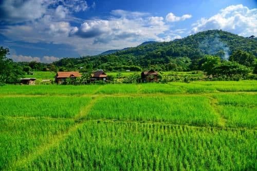 Youdin Kindee Farmstay Youdin Kindee Farmstay