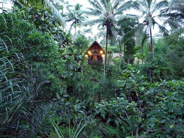 Jendela Di Bali Villa Jendela Di Bali Villa