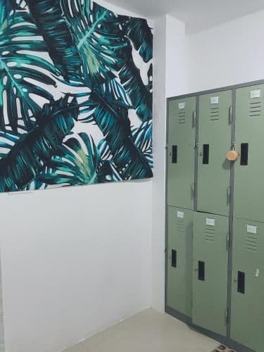 Bunk Bed in Mixed Dormitory Room