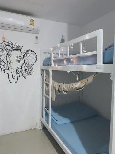 Bunk Bed in Mixed Dormitory Room