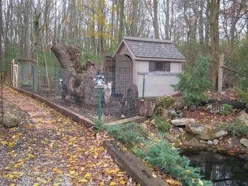 Nature's Energy Centre Retreat2