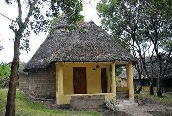 Nalepo Mara Lodge3