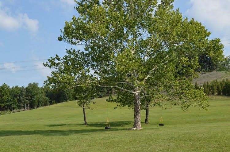 Baileyton RV Park & Cabins - A Cruise Inn Park2