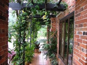 Pathu Resort Ranong4