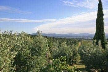 Cantinetta Cantinetta