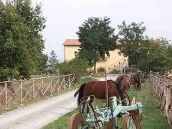 Agriturismo Noce Torta Agriturismo Noce Torta
