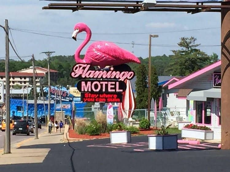Flamingo Motel & Suites1