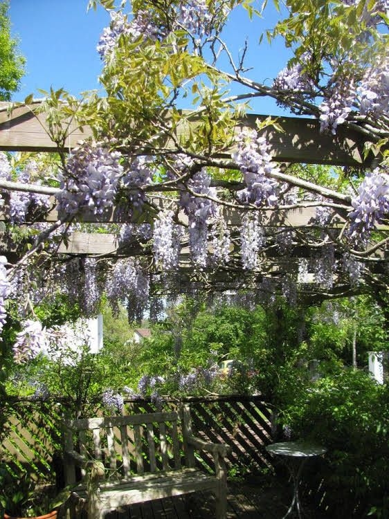 Broadhayes1