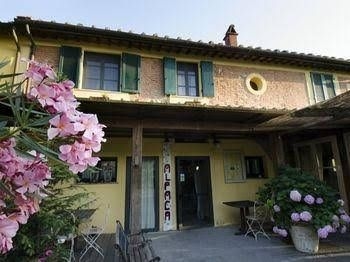 Alpaca Country House4