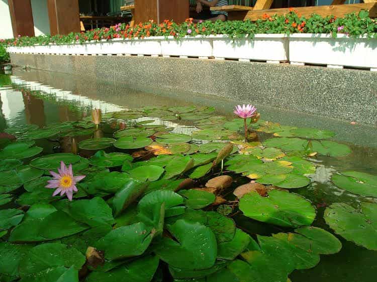 Moon Shy Kenting Boutique Hotel Moon Shy Kenting Boutique Hotel