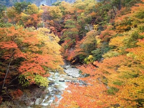 Shiobara Yuuka-an (Shiobara Onsen Shiobara Yuukaan)4