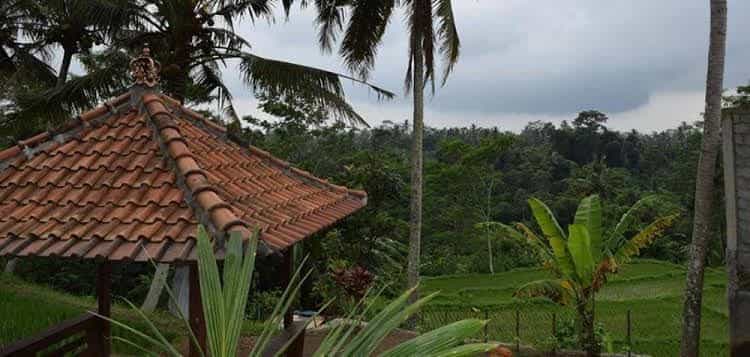 Ubud Sawah Homestay Ubud Sawah Homestay