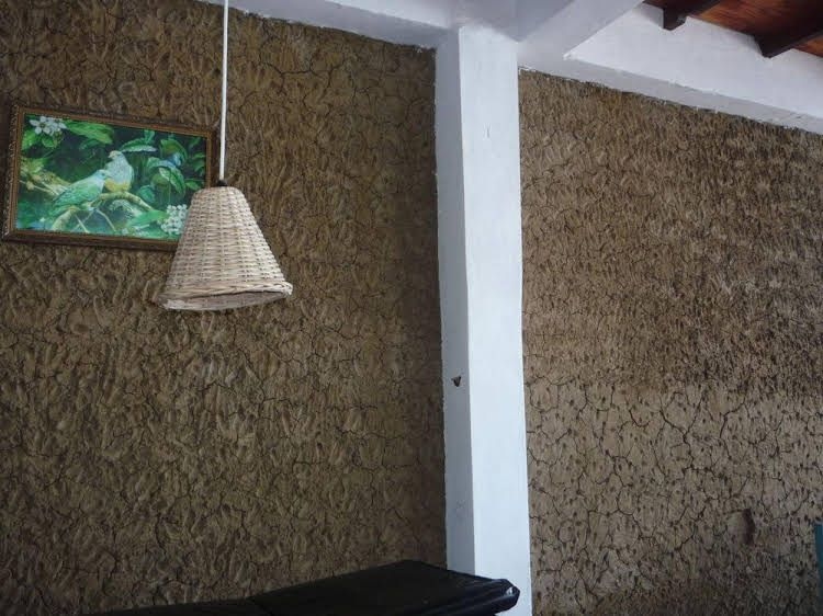 Dinuliya3