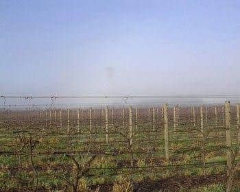 Yering Farm Wines Yering Farm Wines