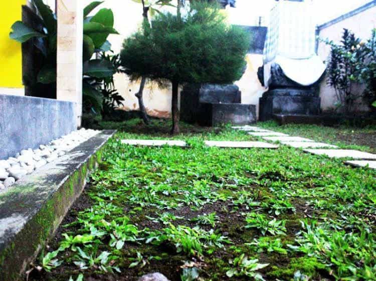 Srikandi House BnB Srikandi House BnB