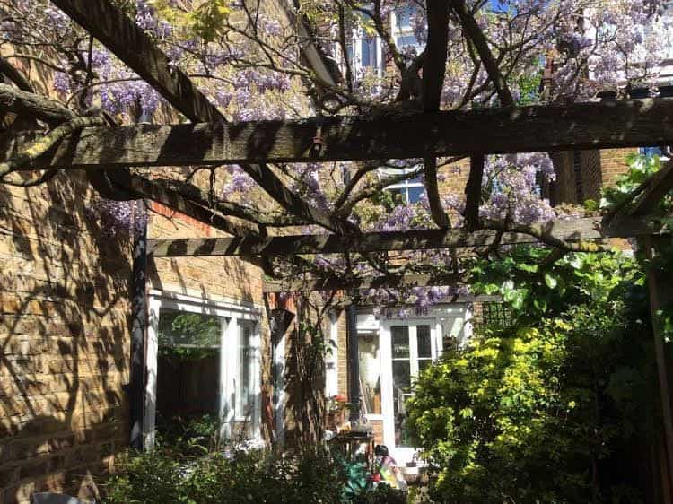 Veeve SemiDetached 3 Bed House On Clovelly Road Ealing Veeve SemiDetached 3 Bed House On Clovelly Road Ealing