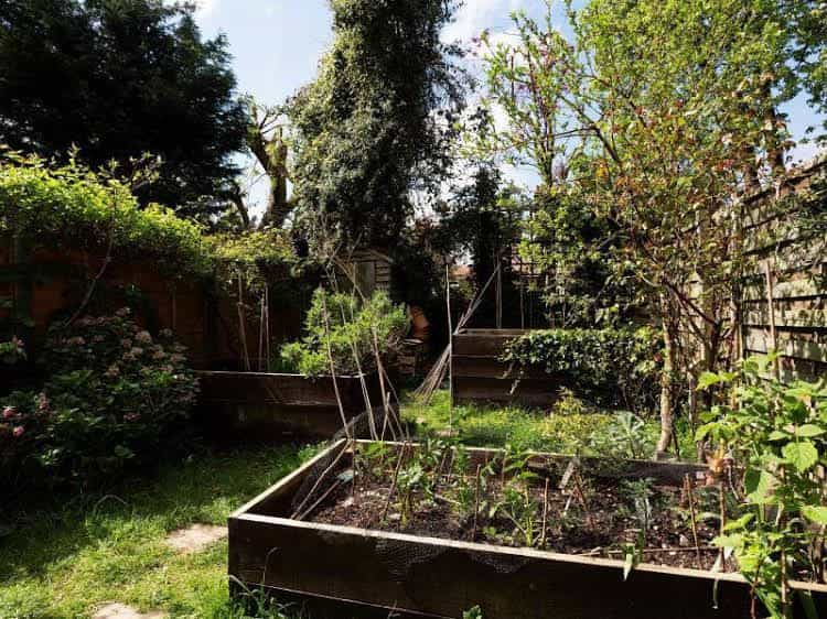 Veeve 5 Bed House Beauval Road Dulwich Veeve 5 Bed House Beauval Road Dulwich