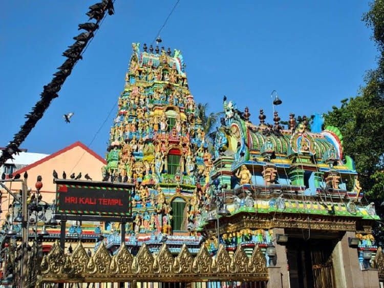 Backpacker Bed & Breakfast2