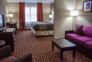 Comfort Inn and Suites0